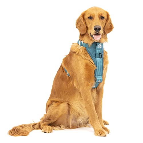 Kurgo Tru-Fit Enhanced Strength Dog Harness - Crash Tested Car Safety Harness for Dogs, No Pull Dog Harness, Includes Pet Safety Seat Belt, Steel Nesting Buckles (Ink Blue, X-Large)