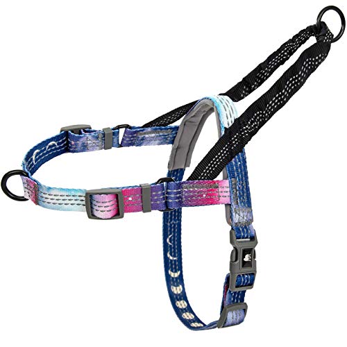 Leashboss No Pull Dog Harness, Easy Walk for Small, Medium, and Large Pets, Reflective with Rear and Front Clip Attachment (Space Pattern, Small)