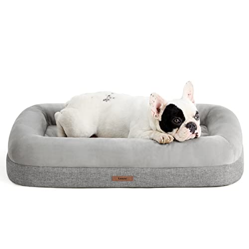 Lesure Bamboo Charcoal Memory Foam Dog Bed - Orthopedic Dog Bed for Medium Dogs Made with CertiPUR-US® Certified Foam - Bolster Pet Bed with Removable Washable Cover and Waterproof Lining, Grey