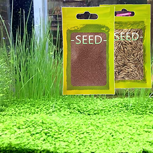 Live Aquarium Plant Seeds Combo,Fresh Water Grass Plants Mini Leaf & Longhair Grass Small Pearl for Fish Tank Terrarium Aquatic Dwarf Carpet Decor Decoration 6 aab (1M1L)