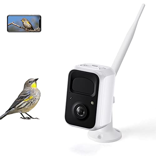 LKBird Smart Bird Feeder Camera with 32G TF Card AI Recognition Birdwatching Camera Wireless WiFi 1080P HD Camera Auto Capture Bird Videos & Notify