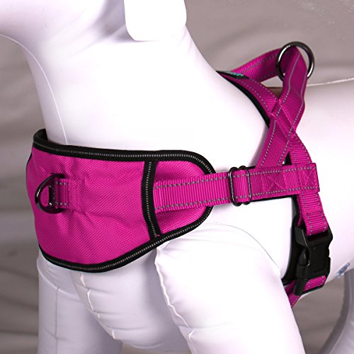 Max and Neo Passport Reflective Dog Harness - We Donate a Harness to a Dog Rescue for Every Harness Sold (Small, Pink)