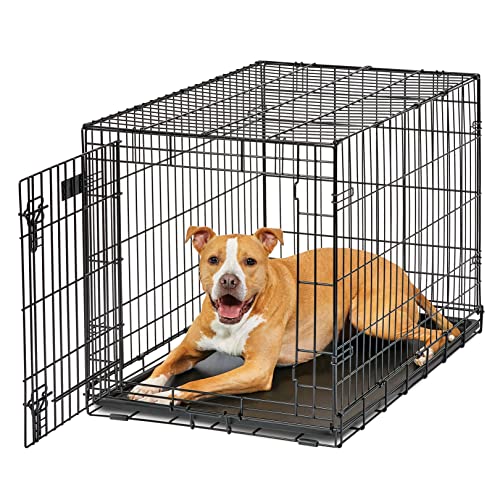 MidWest Homes for Pets Dog Crate | MidWest Life Stages 36' Folding Metal Dog Crate | Divider Panel, Floor Protecting Feet, Leak-Proof Dog Pan | 36L x 23W x 25H Inches, Intermediate Dog Breed, Black