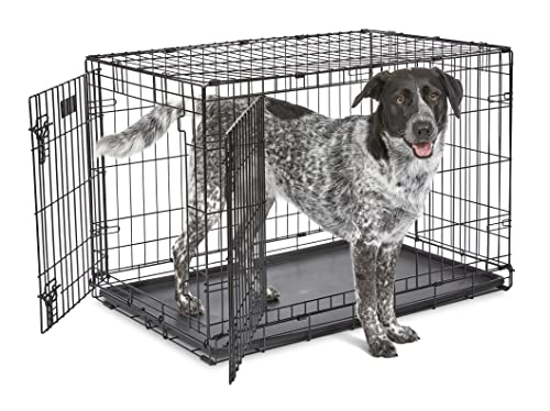 MidWest Homes for Pets Newly Enhanced Single & Double Door iCrate Dog Crate, Includes Leak-Proof Pan, Floor Protecting Feet, Divider Panel & New Patented Features