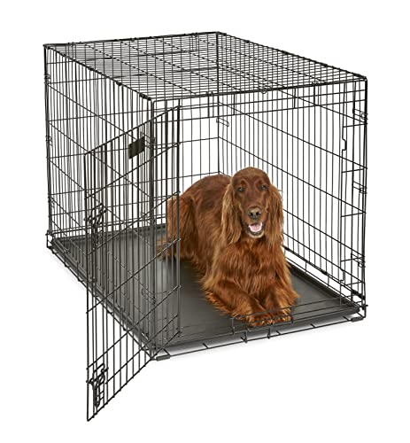 MidWest Homes for Pets Newly Enhanced Single & Double Door iCrate Dog Crate, Includes Leak-Proof Pan, Floor Protecting Feet, Divider Panel & New Patented Features