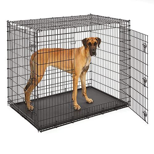 Midwest Homes for Pets SL54DD Ginormus Double Door Dog Crate for XXL for the Largest Dogs Breeds, Great Dane, Mastiff, St. Bernard, Black