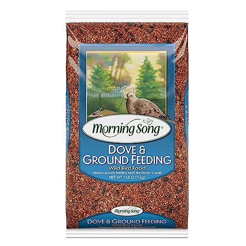 Morning Song Dove & Ground Feeding Wild Bird Food, Quail, Pigeon and Dove Food Seed Mix for Outside Feeders, 7-Pound Bag