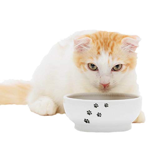 Necoichi Anti-Spill Cat Food Bowl, Effective Double Anti-Spill Smart Lips, FDA and EC/ECC European Standards (Cat-)