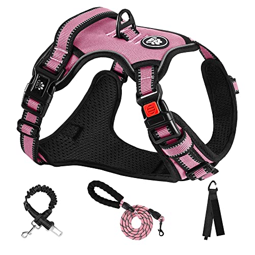 NESTROAD No Pull Dog Harness,Adjustable Oxford Dog Vest Harness with Leash,Reflective No-Choke Pet Harness with Easy Control Soft Handle for Small Dogs(Small,Pink)