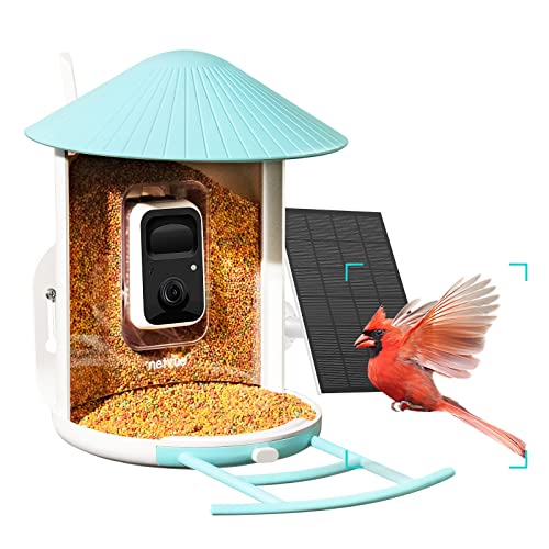 NETVUE Birdfy Lite- Smart Bird Feeder Camera with Solar Panel, Bird Watching Camera Auto Capture Bird Videos & Motion Detection, Ideal Gift for Bird Lover
