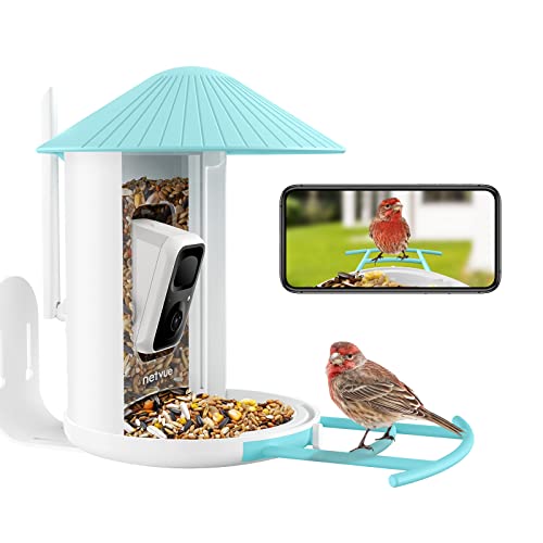 NETVUE Birdfy Lite - Smart Bird Feeder with Camera, Bird Watching Camera, Auto Capture Bird Videos & Motion Detection, Wireless Camera Ideal Gift for Bird Lover