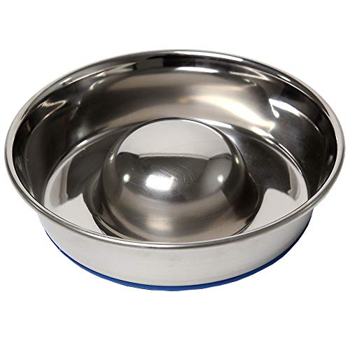 OurPets DuraPet Slow Feed Premium Stainless Steel Dog Bowl, Silver, Small (2040010300)