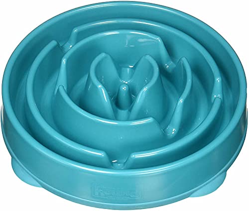 Outward Hound Fun Feeder Slo Bowl, Slow Feeder Dog Bowl, Large/Regular, Turquoise