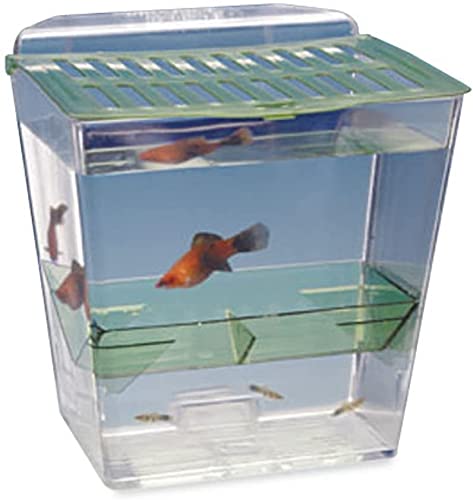 Penn-Plax Breed and Show Nursery Fish Tank