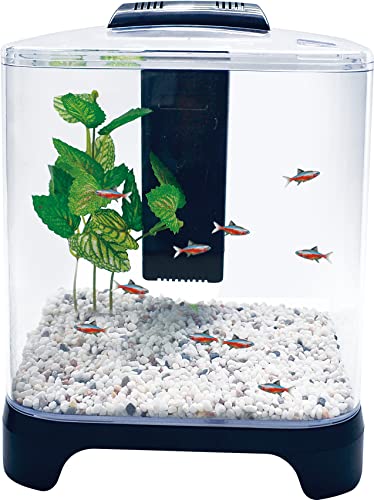 PENN-PLAX NuWave Betta Fish Tank Kit with LED Light and Internal Filter – Black – 1.5 Gallon