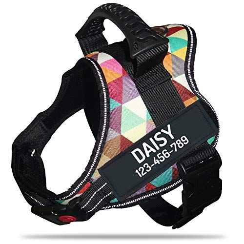 Personalized No Pull Dog Harness with Custom Name and Phone Number by PawPawify, Heavy Duty Pet Vest to Prevent Tugging, Pulling, or Choking, Training and Walking S Chest 20-25in Color Grid