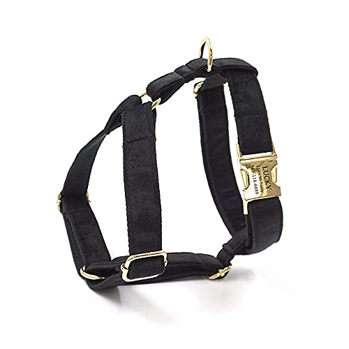 PETDURO Personalized Fancy Cute Soft Velvet Dog Harness with Name Engraved Gold Metal Buckle for Female Girl Boy Dogs of Medium Small Large Sizes and All Breeds (Black, S)