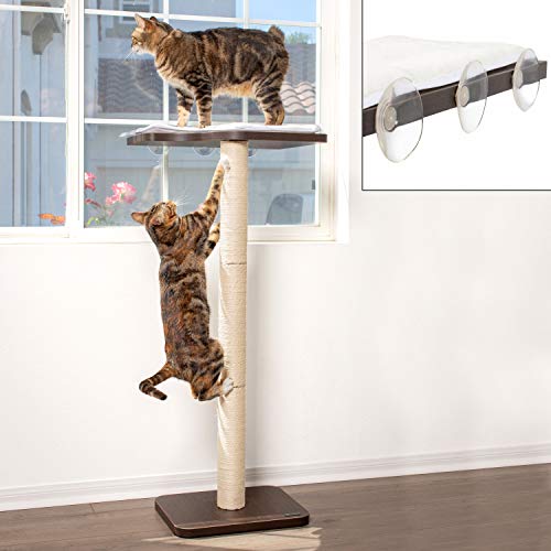 PetFusion Ultimate Cat Window Climbing Perch 45” Tall (Tree Sisal Scratching Posts, Modern Design Simply Suctions to Window. (EASY TO ASSEMBLE) 1 Year Warranty for Manufacturer Defects (PF-WP1)