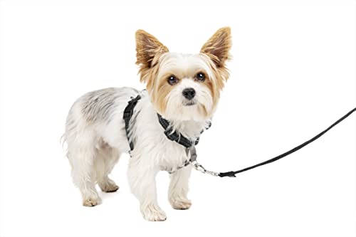 PetSafe 3 in 1 Harness and Car Restraint, Extra Small, Black, No Pull, Adjustable, Training for Small/Medium/Large Dogs