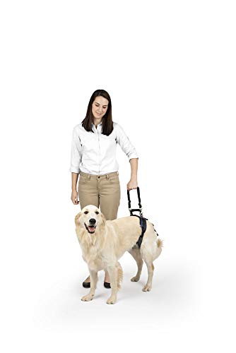 PetSafe CareLift Rear Support Harness – Lifting Aid with Handle and Shoulder Strap – Great for Pet Mobility and Older Dogs – Comfortable, Breathable Material – Easy to Adjust, Black, Large