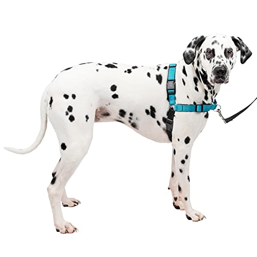 PetSafe Easy Walk Deluxe Dog Harness, No Pull Dog Harness – Perfect for Leash & Harness Training – Stops Pets from Pulling and Choking on Walks – Large, Ocean