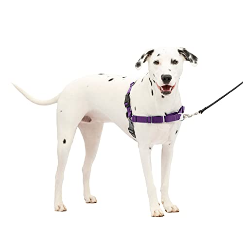 PetSafe Easy Walk Harness, Medium/Large, Deep Purple & Black for Dogs