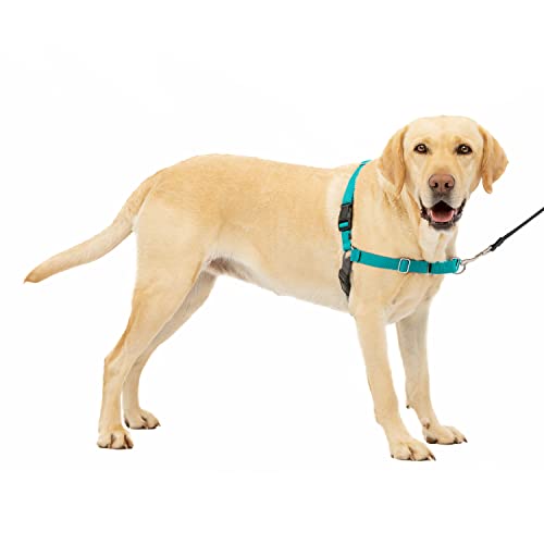 PetSafe Easy Walk No-Pull Dog Harness - The Ultimate Harness to Help Stop Pulling - Take Control & Teach Better Leash Manners - Helps Prevent Pets Pulling on Walks - Large, Teal