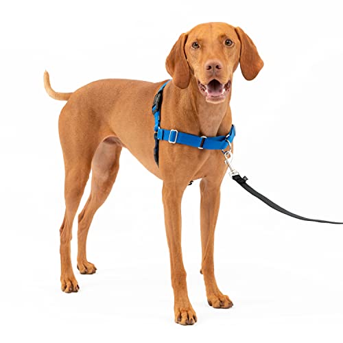 PetSafe Easy Walk No-Pull Dog Harness - The Ultimate Harness to Help Stop Pulling - Take Control & Teach Better Leash Manners - Helps Prevent Pets Pulling on Walks - Medium, Royal Blue/Navy Blue