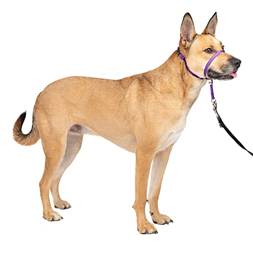 PetSafe Gentle Leader No-Pull Dog Headcollar - The Ultimate Solution to Pulling - Redirects Your Dog's Pulling For Easier Walks - Helps You Regain Control - Medium , Deep Purple