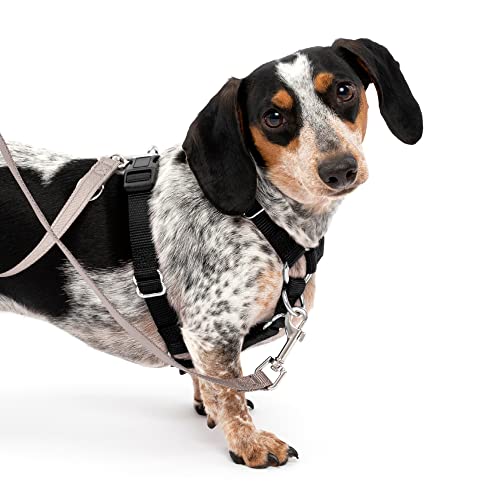 PetSafe Sure-Fit Dog Harness- Training Aid- Tactical Design Prevents Pressure on Throat- 2 Quick-Snap Buckles Simplify Slipping On & Off- 5 Adjustment Points Maximize Comfort & Fit- Black- Small