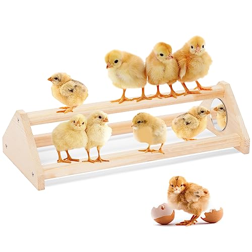 PETSFIT Chick Perch with Mirror, Solid Wooden Thicken Rooster Perch for Coop and Brooder for Birds,Easy to Assemble and Clean
