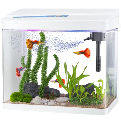 Prime Fish Tank 2024 - Vet Ranch - We Love Pets