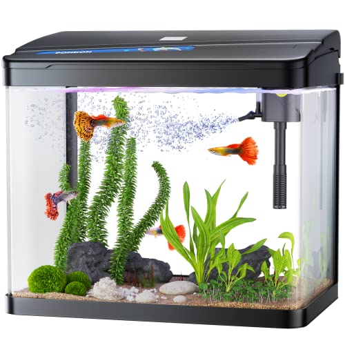 PONDON 5 Gallon Fish Tank, Betta Fish Glass Aquarium Starter Kit, Desktop Fish Tank Includes Filter and LED Light (Black, 5Gallon)