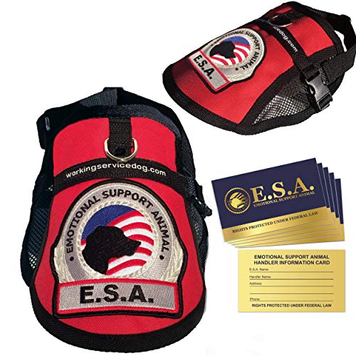 Premium Emotional Support Dog Vest | ESA Dog Vest | Mesh Cooling Panel | Emotional Support Dog Harness | Includes 5 Federal Law ESA Handout Cards (9" - 13" Girth, Red)