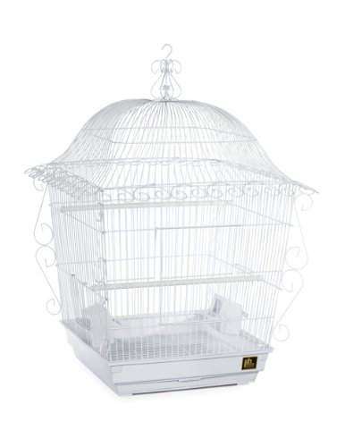 Prevue Pet Products Jumbo Scrollwork Bird Cage 220W White, 18-Inch by 18-Inch by 25-Inch