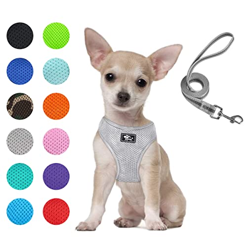 Puppy Harness and Leash Set - Dog Vest Harness for Small Dogs Medium Dogs- Adjustable Reflective Step in Harness for Dogs - Soft Mesh Comfort Fit No Pull No Choke (XS, Grey)