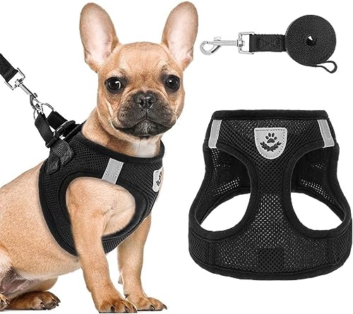 Puppy Harness and Leash Set - Soft Mesh Dog Vest Harness, Reflective & Adjustable Harness for Small to Medium Dogs, Cats and Puppies