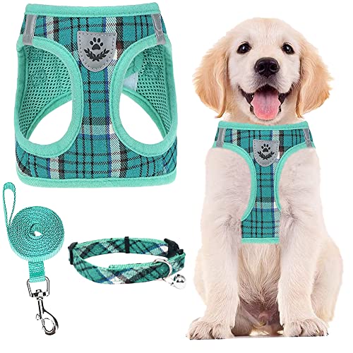 PUPTECK Adjustable Dog Harness Collar and Leash Set Step in No Pull Pet Harness for Small Medium Dogs Puppy and Cats Outdoor Walking Running, Soft Mesh Padded Reflective Vest Harnesses, Lake Green M