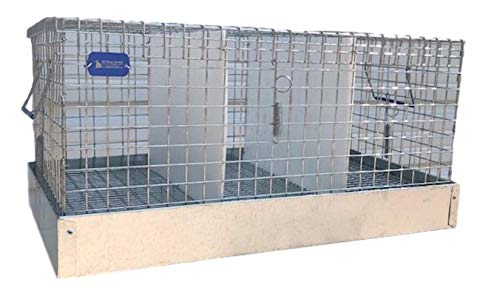 Rabbit Carrier/Transport Cage - 3 Hole (12x18x10)