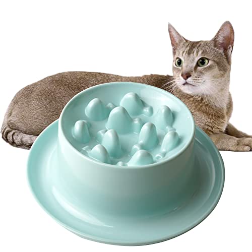 Raised Slow Feeder Cat Bowl, Fish Pool Design Elevated Slow Feeder Dog Bowls, Fun Interactive Bloat Stop Cat Slow Feeder Dry Food, Reduces Neck Burden Slow Down Eating Anti Vomiting Non-Slip No Spill