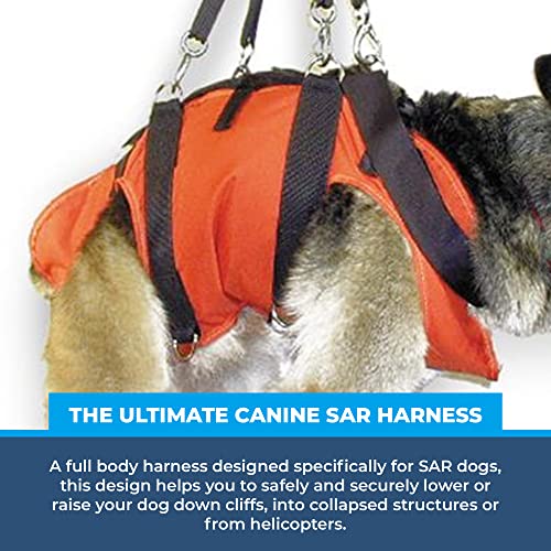 Rock-N-Rescue SAR Dog Harness - Heavy Duty Wear-Resistant Nylon, Sizes to Support Small and Large Dogs, Black, Large