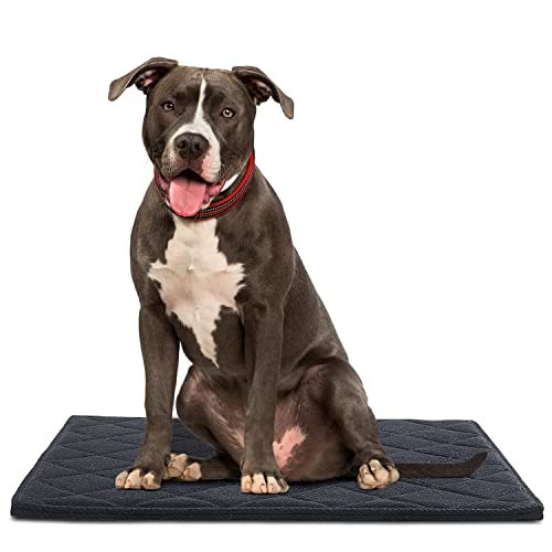 ROYALAY Chew Proof Dog Crate Pad Mat for Tough Dog, Indestructibl and Water Resistant Dog Mat for Aggressive Chewer, 17"x23" Durable Bed Mat Design for Dog Cage (17"x23", Black)