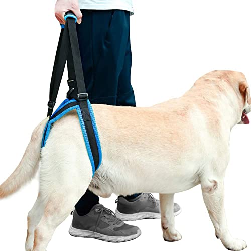 ROZKITCH Pet Dog Support Harness Rear Lifting Harness Veterinarian Approved for Old K9 Helps with Poor Stability, Joint Injuries Elderly and Arthritis ACL Rehabilitation Rehab S Blue