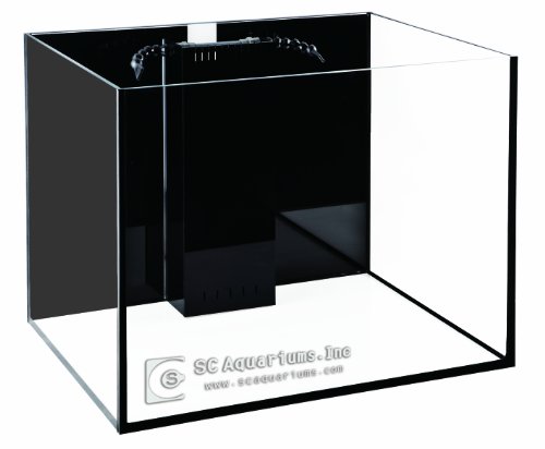 SCA 66 Gallon Starfire Rimless Aquariums 32x24x20 10mm with Built-in Overflow