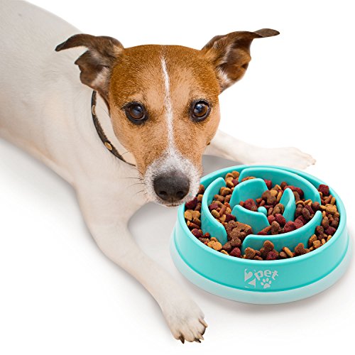 Slow Feed Dog Bowl Slowly Bowly by 2PET. Fun Interactive Dog Dish for Fast Eaters. Prevent Bloating. Fun to Use Dog Bowl. Cat Feeder Friendly. [Skid Protection Upgraded]