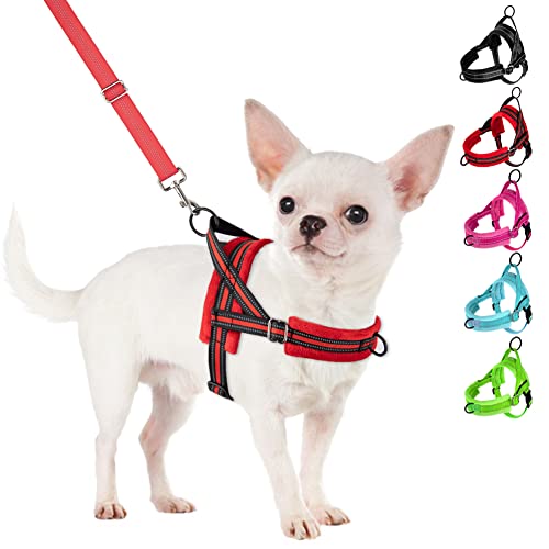 SlowTon No Pull Small Dog Harness and Leash Set, Puppy Soft Vest Harness Neck & Chest Adjustable, Reflective Lightweight Harness & Anti-Twist Pet Lead Combo for Small Medium Dogs (R-Front Clip,XXS)