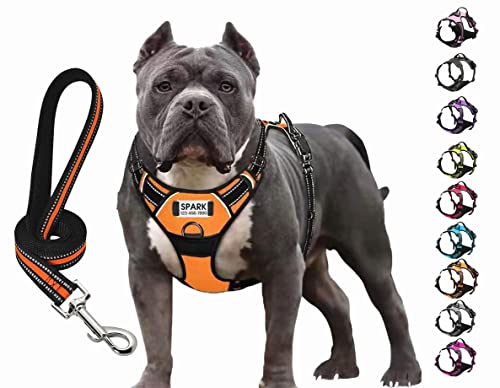 SLZZ Personalized Custom No Pull Dog Harness Leash Set with Name Phone Number-Heavy Duty Reflective Soft Padded Dog Vest Harness with Easy Control Handle for Small Medium Large Dog-2 Leash Attachments