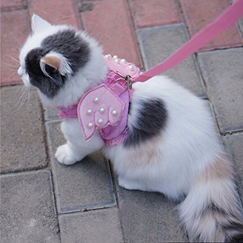 Small Pet Cat Dog Harness and Leash Set with Lace Artificial Pearl Angel Wing Cats Breathable Mesh Walking Collar Soft Vest+125cm/49.21" Matching Lead Leash Set (M)