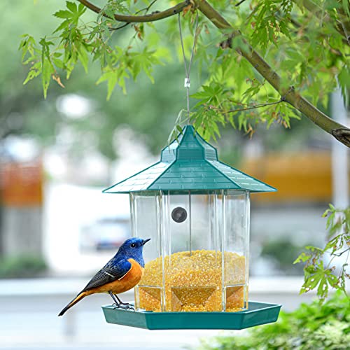 Smart Bird Feeder with Camera, Hummingbird Feeder with Chain for Outdoor Hanging, HD 1080P Night-Version Video Camera, WiFi Remote Connection with Mobile Phone for Bird Enthusiasts