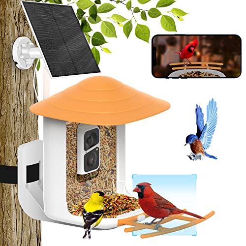 Soliom BF09 Bird Feeder with Camera Wireless Outdoor,Smart Bird Camera Feeder with AI Identify Bird Species, Auto Record Bird Video, Instant Notifications, 5W Solar Panel and 32GB SD Card Plastic Case